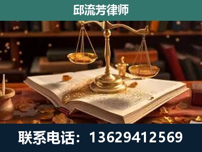 芒-刑事案件